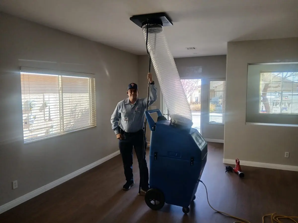 Professional Dryer Vent Cleaning work inside a Hopewell home